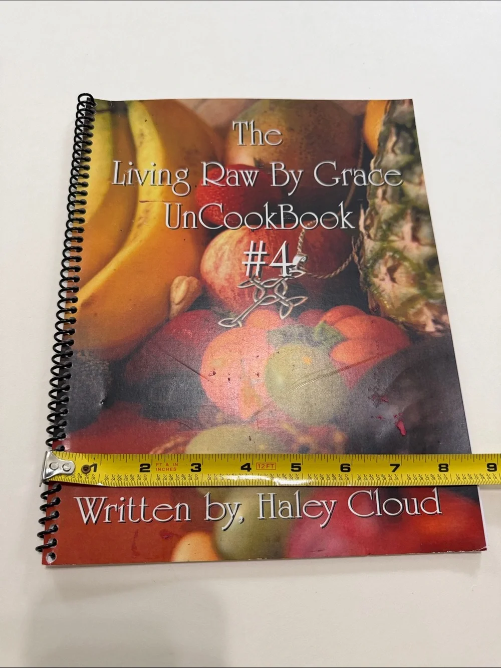 Haley Cloud Living Raw By Grace UnCookBook #4 - Red/Orange Cover